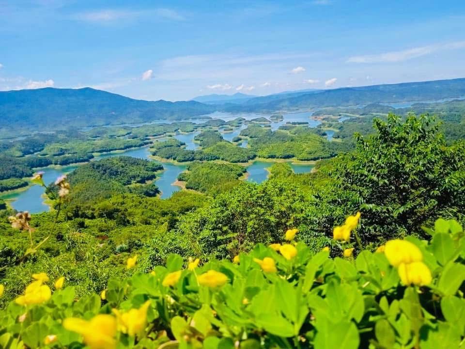 Hoa vàng trên đồi nhìn xuống vùng hồ