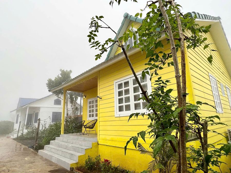 Nhà gỗ vàng trong sương sớm Tà Đùng